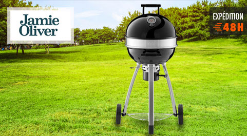 Barbecues et fours à bois